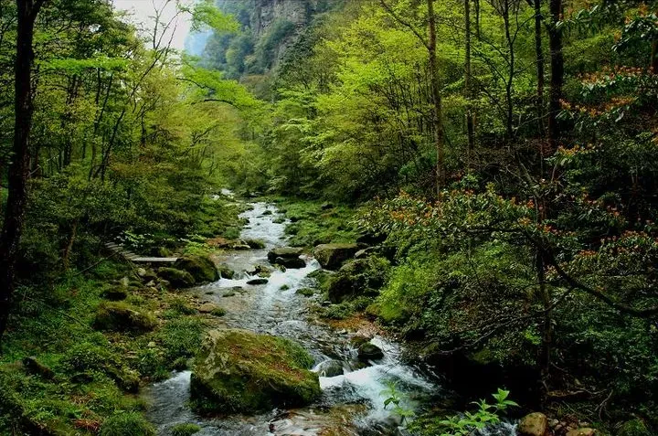 jinbianxi.webp